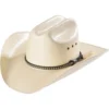 Cody James Men's Natural Straw Horsehair Band Cowboy Hat